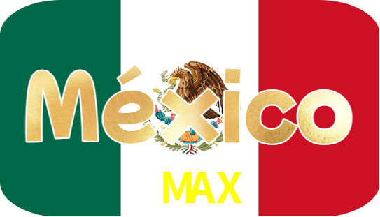 9MAX Logo